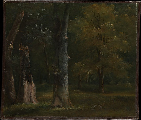 :Zebu from the Zoo Animals series issued by the Philadelphia-16x12"(A3) Poster