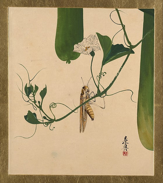 Lacquer Paintings of Various Subjects: Grasshopper on Gourd Vi,  Poster Print