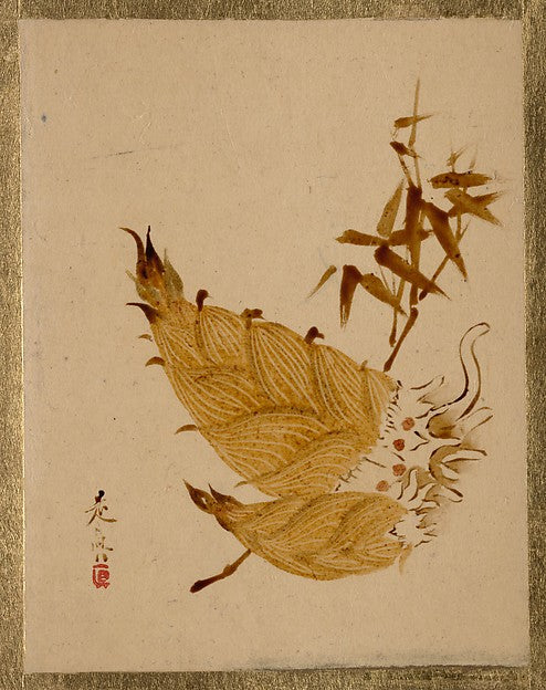 ,Bamboo Shoots c1880s-Shibata Zeshin,16x12"(A3) Poster