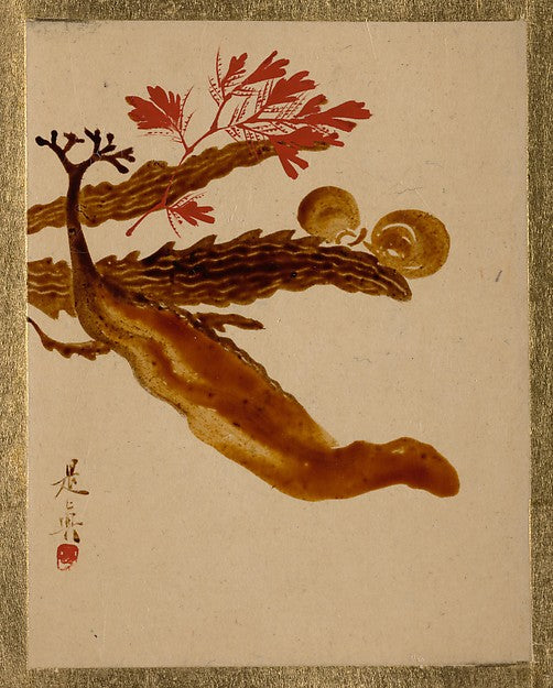 Seaweed-Shibata Zeshin,  Poster Print
