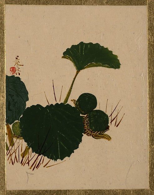 Worm on Green Leaved Plant-Shibata Zeshin,16x12"(A3) Poster