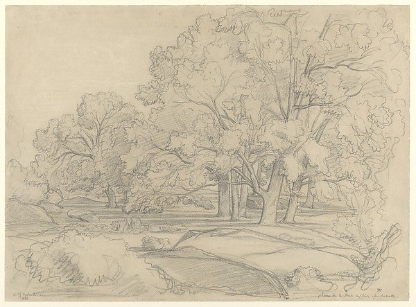 Plateau de la Mare aux Fées. Forest of Fontainebleau 1854-Clau,16x12"(A3) Poster