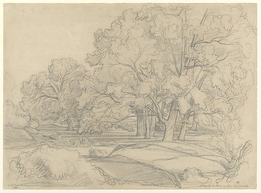 Plateau de la Mare aux Fées. Forest of Fontainebleau 1854-Clau,16x12"(A3) Poster