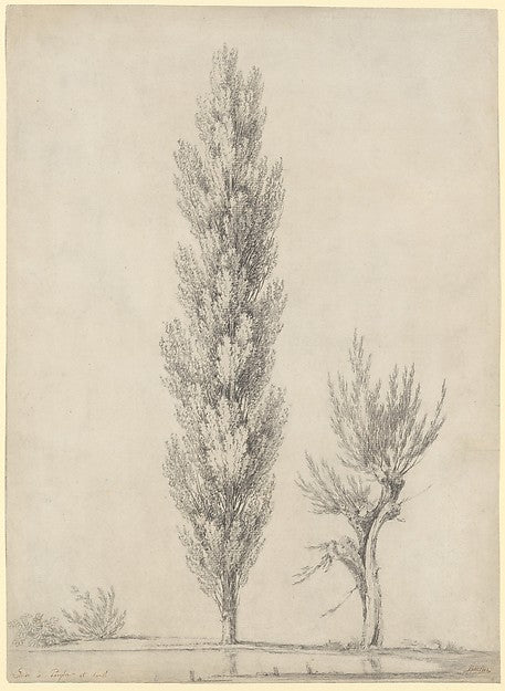 Landscape with a Poplar and a Willow Tree at the Edge of a Pon,16x12"(A3) Poster