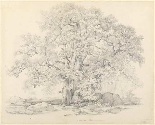 Tree and Rocks in the Forest of Fontainebleau 1834-Eugène Stan,16x12"(A3) Poster