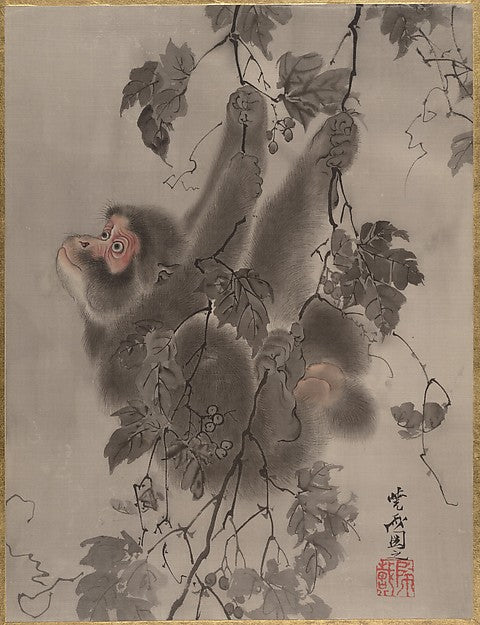 Monkey Hanging from Grapevines c1887-Kawanabe Ky?sai,  Poster Print
