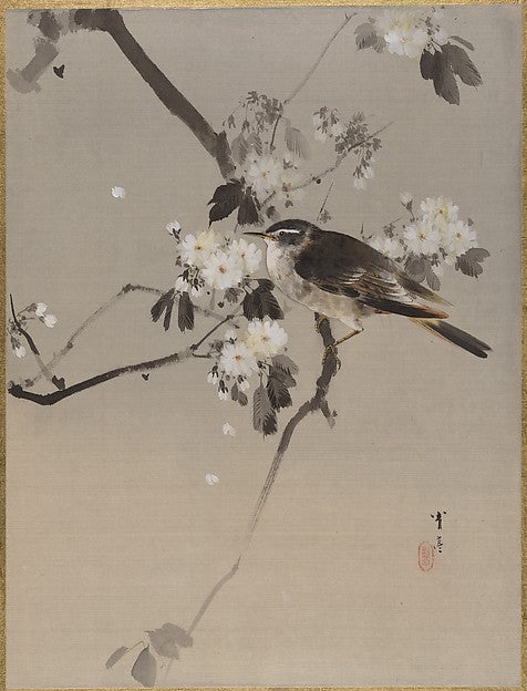 ,Birds on a Flowering Branch c1887-Watanabe Seitei,16x12"(A3) Poster