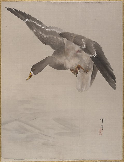 Duck c1887-Watanabe Seitei,  Poster Print