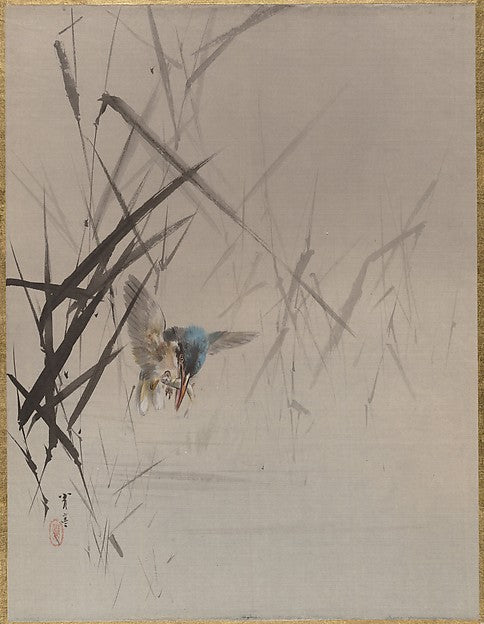 Bird Catching Fish Among Reeds c1887-Watanabe Seitei,  Poster Print