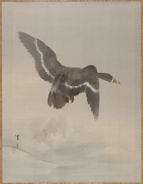 Flying Goose c1887-Watanabe Seitei,  Poster Print