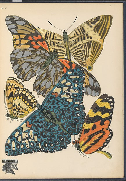 :Papillons Pl. 3 [c1920-29]-16x12"(A3) Poster