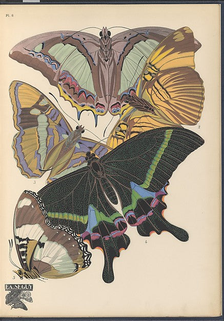 :Papillons Pl. 8 [c1920-29]-16x12"(A3) Poster