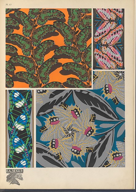 :Papillons Pl. 17 [c1920-29]-16x12"(A3) Poster