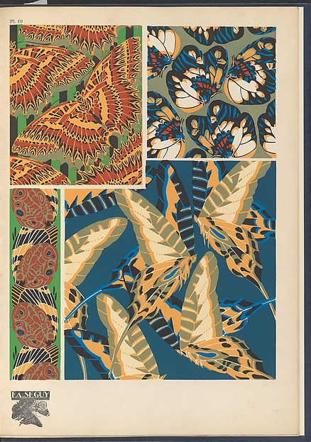 :Papillons Pl. 19 [c1920-29]-16x12"(A3) Poster