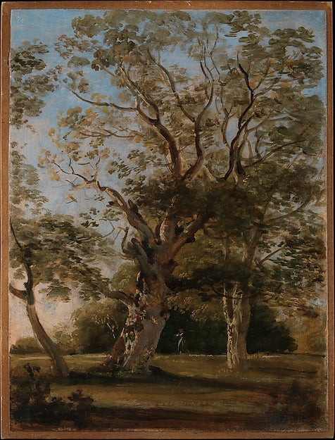 Johann Georg von Dillis:Beech Trees in the English Garden Mu-16x12"(A3) Poster