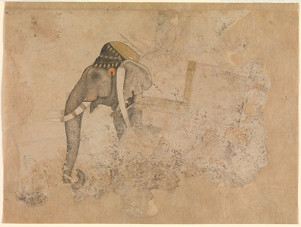 Attributed to Hashim:Elephant and Rider c1640-16x12"(A3) Poster