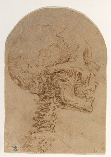Battista Franco:Skull in Profile c1538-16x12"(A3) Poster