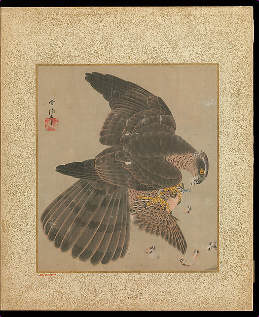 ,Album of Hawks and Calligraphy 17th–18th cent-Kano Tsune,Japan ukiyo-e Period Image,16x12