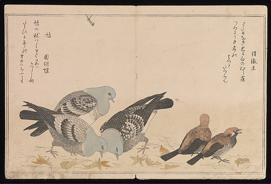 ,Myriad Birds:A Playful Poetry Contest, 2 vols. 1790-K,16x12"(A3) Poster