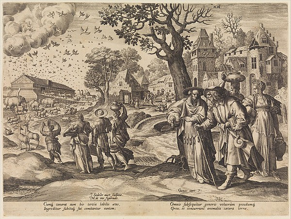After Maerten de Vos , Johann Sadeler I:The Animals Going in-16x12"(A3) Poster