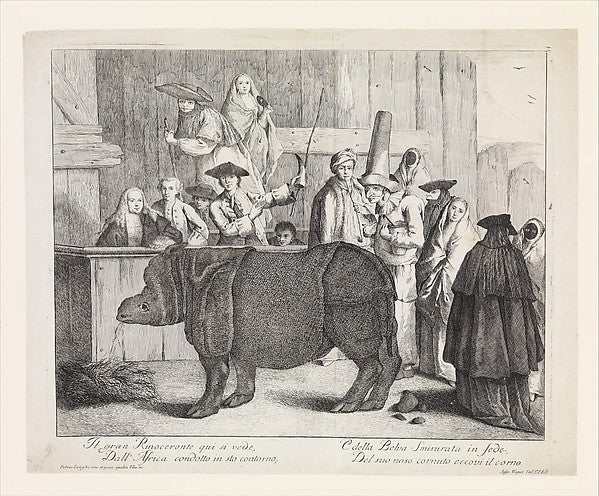 The Rhinoceros  Clara  in the foreground  her keeper holding h,16x12"(A3) Poster
