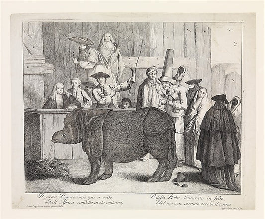 The Rhinoceros  Clara  in the foreground  her keeper holding h,16x12"(A3) Poster