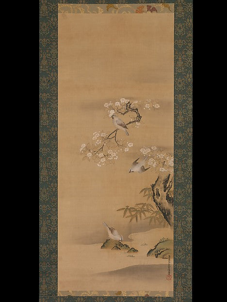 ,Waxwings, Cherry Blossoms, and Bamboo late 17th c,16x12"(A3)Poster