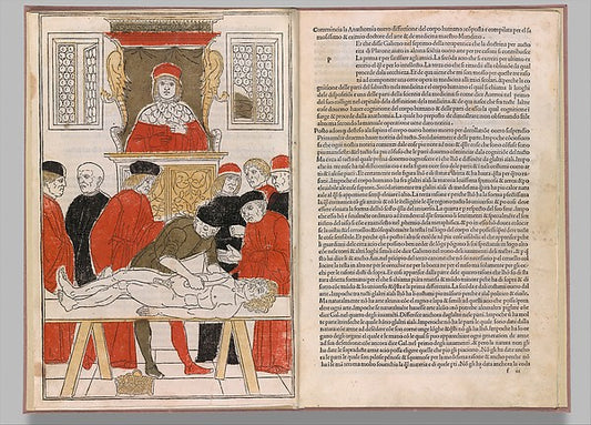 Fasciculo di medicina February 5,1493 [modern style,1494]-, Poster Print