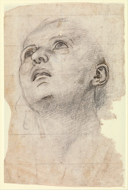 Workshop of Perugino:Study of the Head of a Youth Gazing Upw-16x12"(A3) Poster