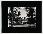 :Oasis with doum palms and distant figures in the water c192-16x12"(A3) Poster