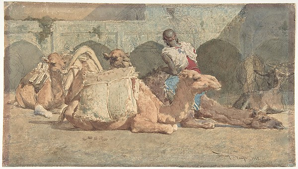 Camels Reposing  Tangiers 1838–74-Mariano Fortuny Marsal,  Poster Print Wall Art