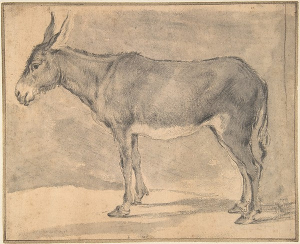 Donkey 17th cent-Pieter Jacobsz. van Laer  Haarlem), Poster Print