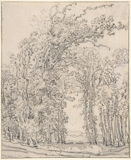Study of Trees 17th cent-François Ryckhals,  Poster Print Wall Art