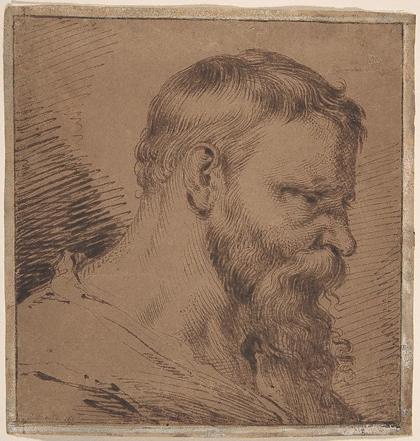 Bearded Head  Looking Down to the Right 1620–30-Jacques de Ghe,  Poster Print Wall Art