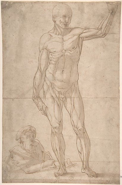 Study of Anatomy -  A Youth Drawing an Ecorché of a Standing Man,  Poster Print Wall Art