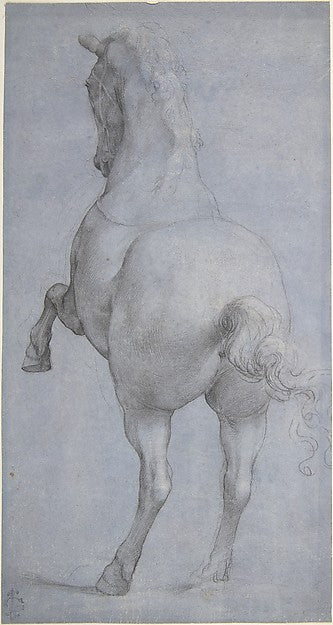 Rearing Horse in Rear Three-Quarter View 16th cent-Anonymous,,  Poster Print Wall Art