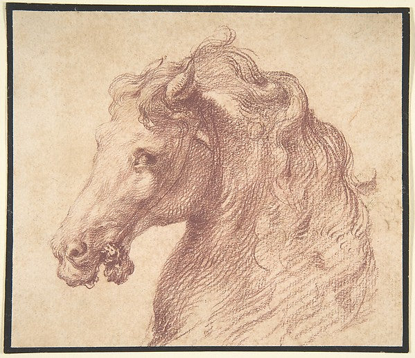 Head of a Horse mid-16th cent-Anonymous,Italian,mid-16th cen,  Poster Print Wall Art