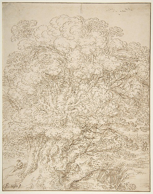 Study of an Old Tree 17th cent-Gillis Neyts,  Poster Print Wall Art