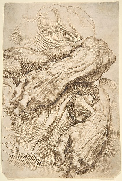 Anatomical Studies:  a left forearm in two positions and a rig,16x12"(A3) Poster
