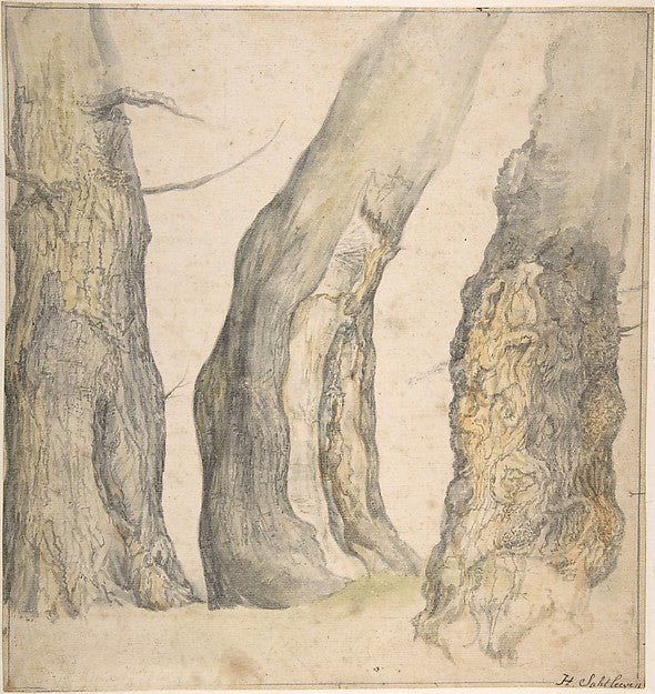 Study of Three Old Gnarled Trees 1660-Jan Siberechts, Poster Print