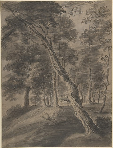 Forest Scene with Tree in Foreground 17th cent-Attributed to J,16x12"(A3) Poster