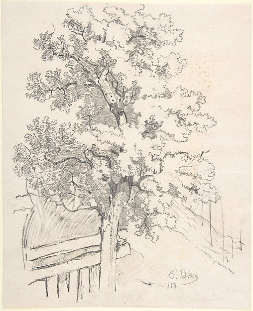 Study of a Tree 1863-Tina Blau,16x12"(A3) Poster
