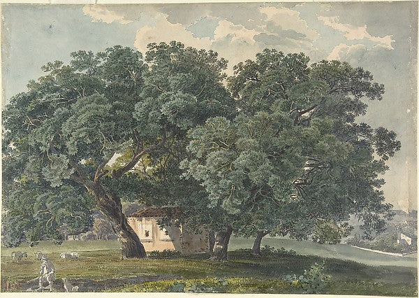 Italian Landscape with Trees  1815–21-Friedrich Salathé,  Poster Print Wall Art