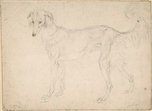 Study of a Feathered Saluki  Facing Left 1813-Sir Edwin Henry,16x12"(A3) Poster