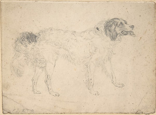 Study of a Herding Dog Facing Right 1810-Sir Edwin Henry Lands,16x12"(A3) Poster