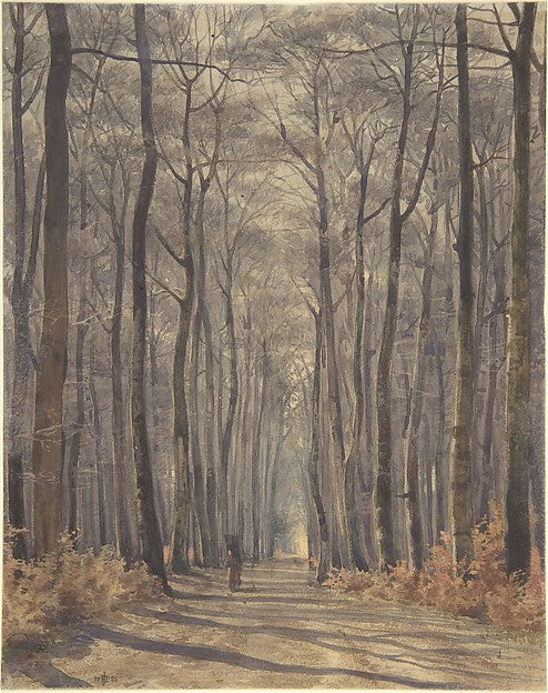 An Allée in the Woods 1859-Sir Edward John Poynter,Paris 1836,  Poster Print Wall Art
