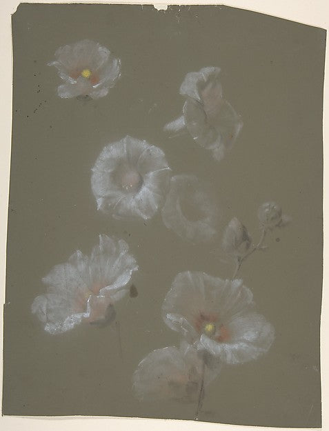 White Hollyhocks n.d.-Antoine Berjon,16x12"(A3) Poster