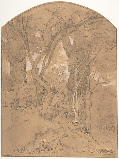 Trees in a Forest-Édouard Bertin,16x12"(A3) Poster