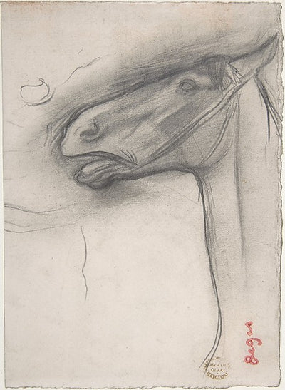 Head of a Horse c1878-Edgar Degas,16x12"(A3) Poster