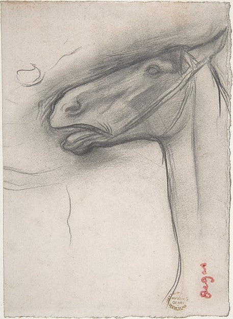 Head of a Horse c1878-Edgar Degas,16x12